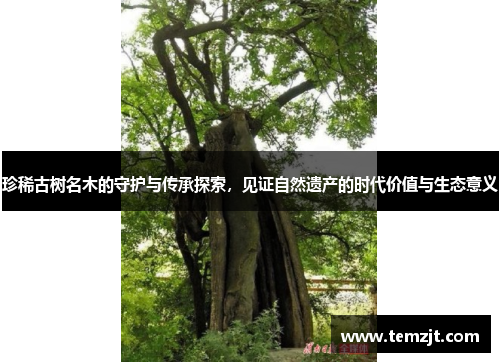 珍稀古树名木的守护与传承探索，见证自然遗产的时代价值与生态意义