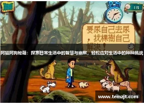 阿猫阿狗秘籍:探索日常生活中的智慧与幽默,轻松应对生活中的种种挑战 阿猫阿狗秘籍:探索日常生活中的智慧与幽默,轻松应对生活中的种种挑战